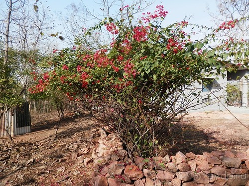 Кхаджурахо: водопад Ранех и заповедник Гавиал