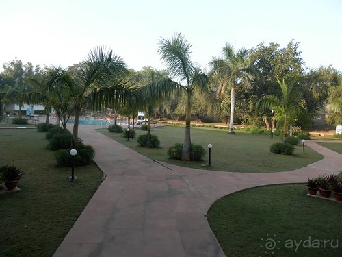 Альбом отзыва "Кхаджурахо: водопад Ранех и заповедник Гавиал"