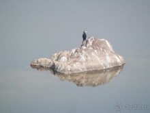 Альбом отзыва "Кхаджурахо: водопад Ранех и заповедник Гавиал"