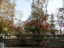 Альбом отзыва "Кхаджурахо: водопад Ранех и заповедник Гавиал"