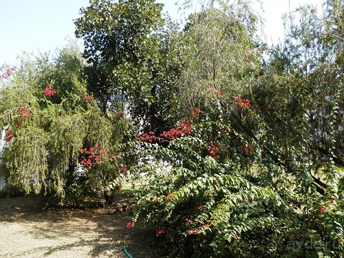 Альбом отзыва "Кхаджурахо: водопад Ранех и заповедник Гавиал"