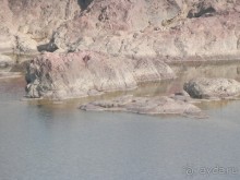 Альбом отзыва "Кхаджурахо: водопад Ранех и заповедник Гавиал"