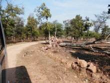 Альбом отзыва "Кхаджурахо: водопад Ранех и заповедник Гавиал"