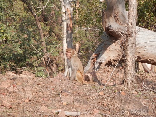 Кхаджурахо: водопад Ранех и заповедник Гавиал