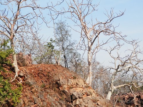 Кхаджурахо: водопад Ранех и заповедник Гавиал