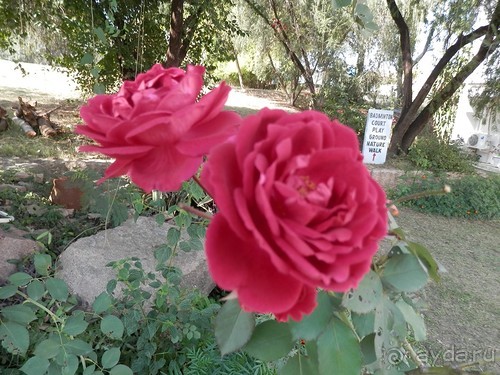 Кхаджурахо: водопад Ранех и заповедник Гавиал