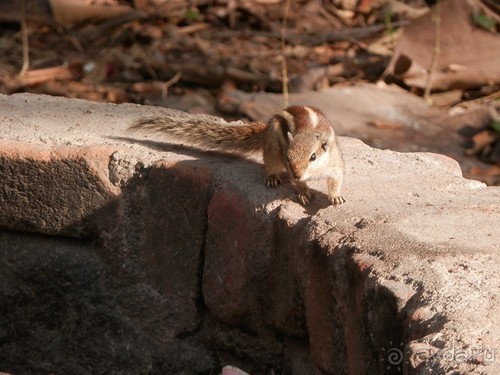 Кхаджурахо: водопад Ранех и заповедник Гавиал