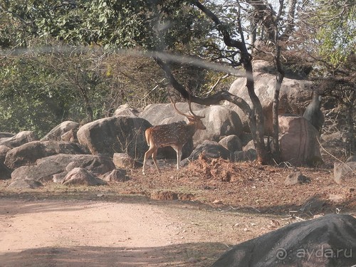 Кхаджурахо: водопад Ранех и заповедник Гавиал