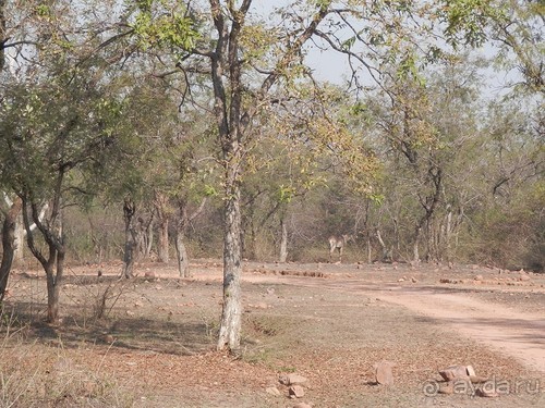 Кхаджурахо: водопад Ранех и заповедник Гавиал