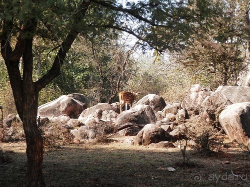 Кхаджурахо: водопад Ранех и заповедник Гавиал