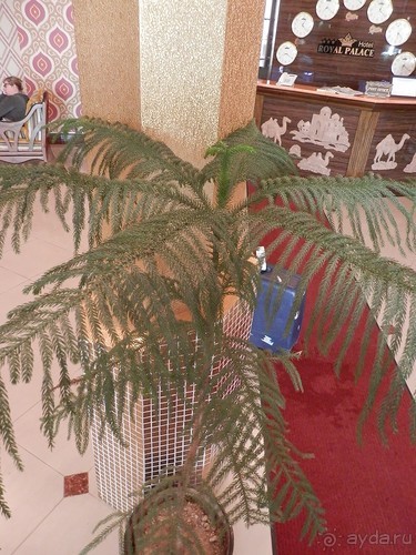 Самарканд, день первый