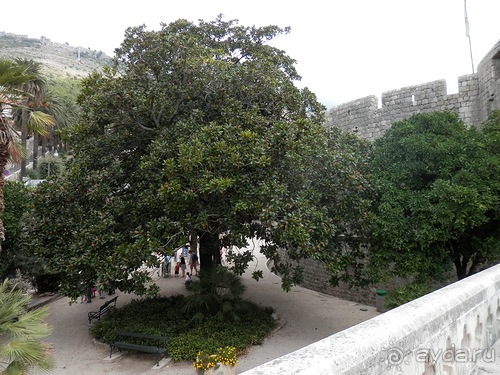 Дубровник - между Ялтой и Бари