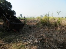 Альбом отзыва "От Орчхи до Кхаджурахо"