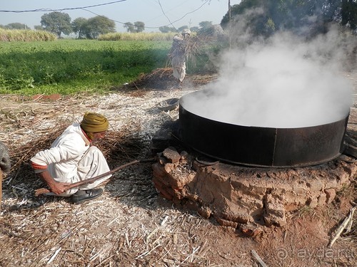 Альбом отзыва "От Орчхи до Кхаджурахо"