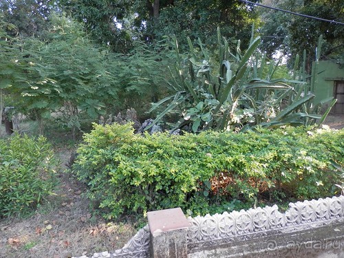 От Орчхи до Кхаджурахо