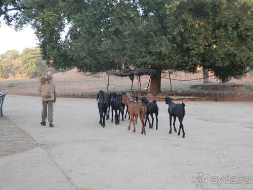 От Орчхи до Кхаджурахо