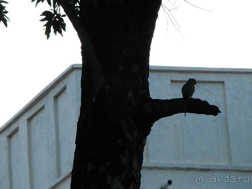 От Орчхи до Кхаджурахо