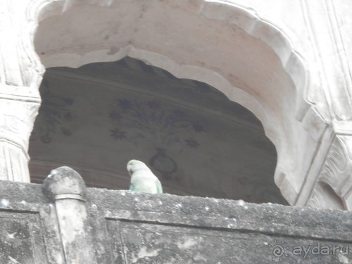 От Орчхи до Кхаджурахо