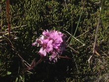 Исландия, день пятый