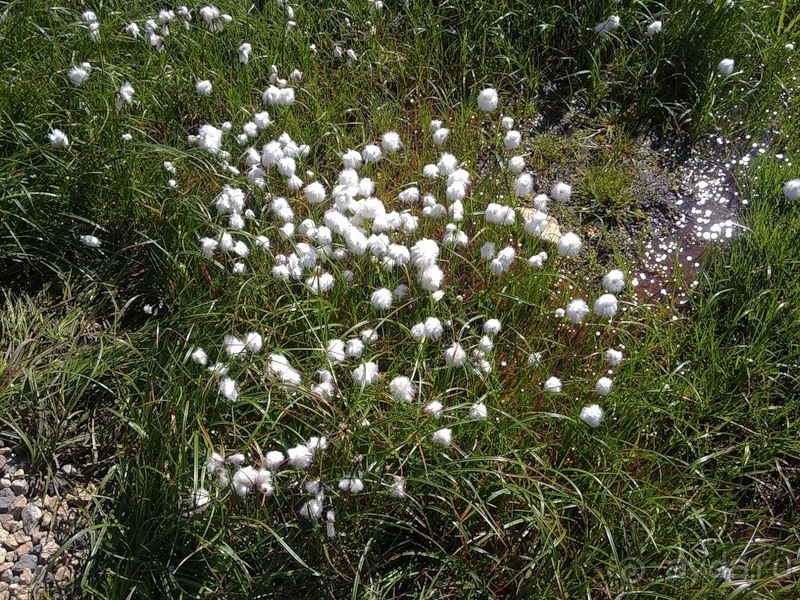 Исландия, день пятый