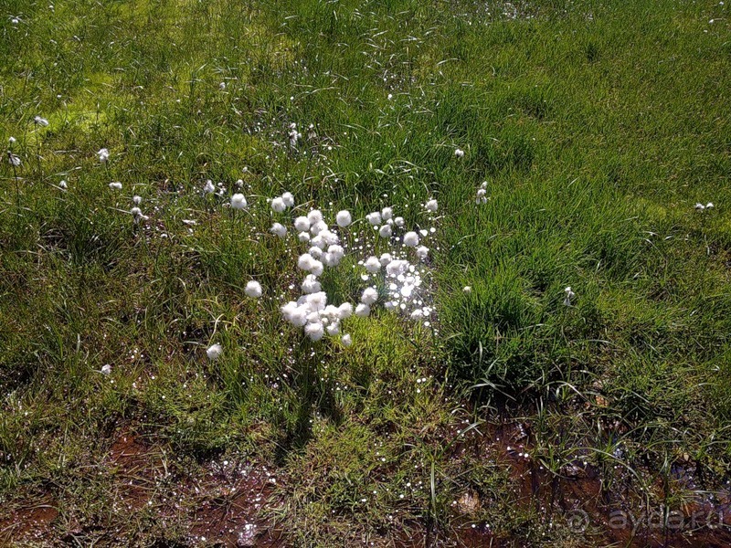 Исландия, день пятый