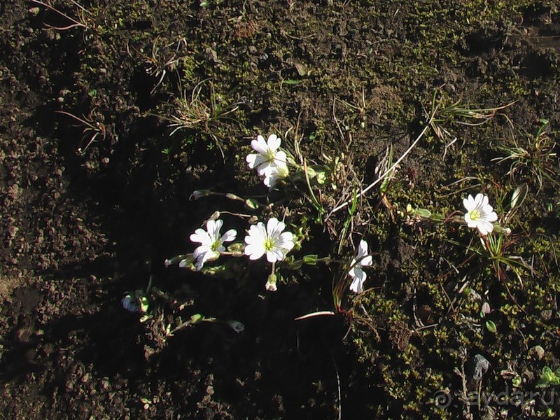 Исландия, день пятый