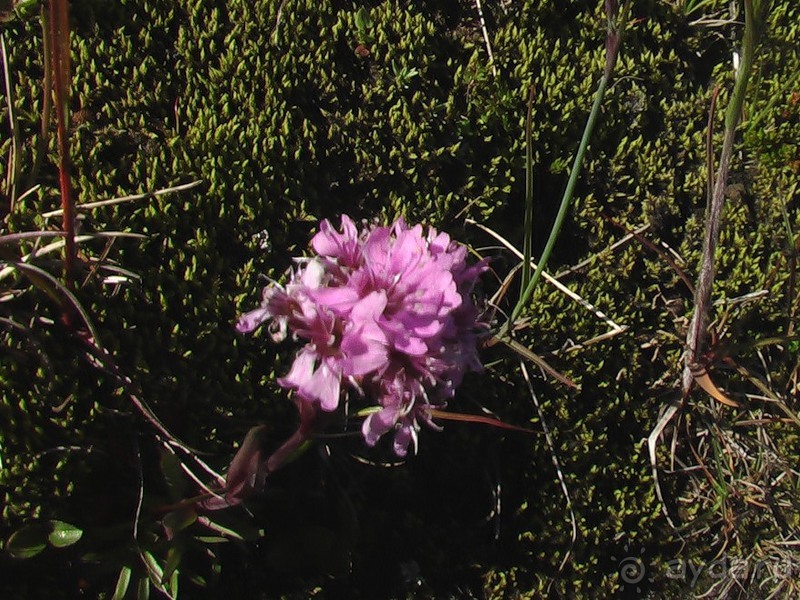 Исландия, день пятый