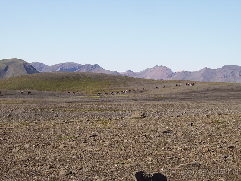 Исландия, день пятый