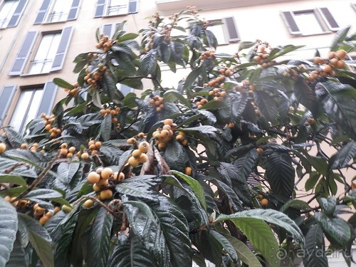 Второй день в Милане - Дуомо, замок и остальное на длинной прогулке