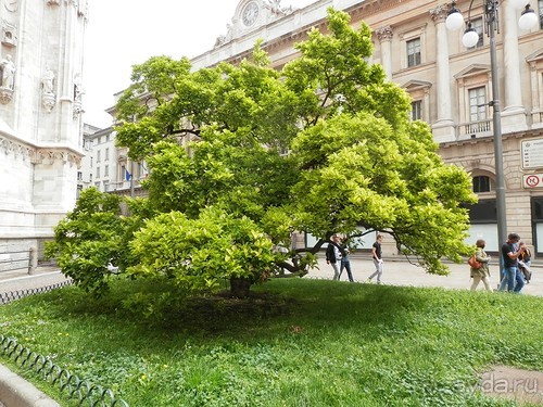 Второй день в Милане - Дуомо, замок и остальное на длинной прогулке