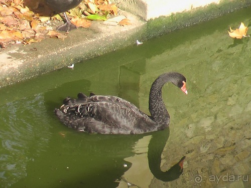 Амбуаз - Кло-Люсе - Шенонсо