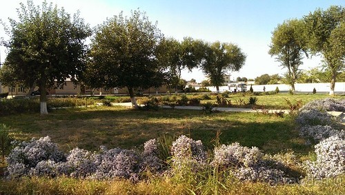 Продолжаю прогулку по Бухаре