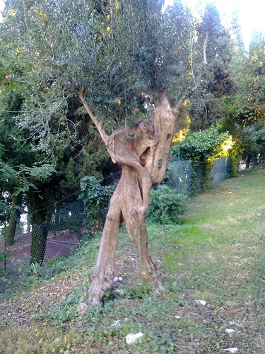 Сирмионе, день последний - завтра уезжаю