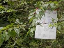 Замок в Брешиа и немного по городу