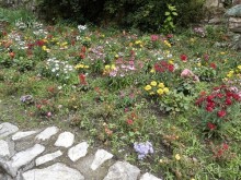 Замок в Брешиа и немного по городу