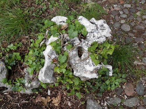 Замок в Брешиа и немного по городу