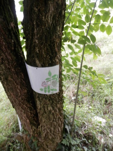 Замок в Брешиа и немного по городу