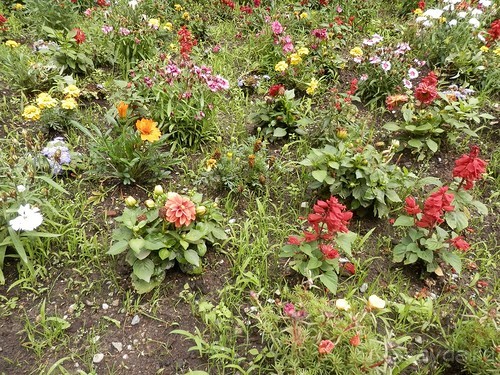 Замок в Брешиа и немного по городу