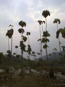 Таиланд, день пятый