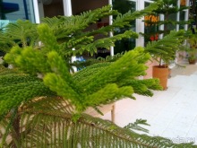 Таиланд, день пятый