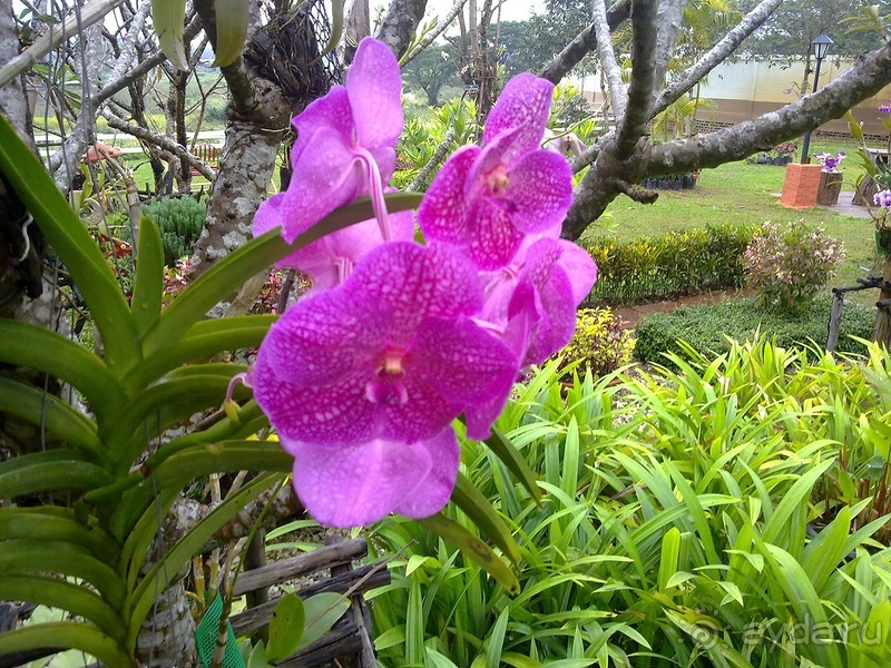 Таиланд, день пятый