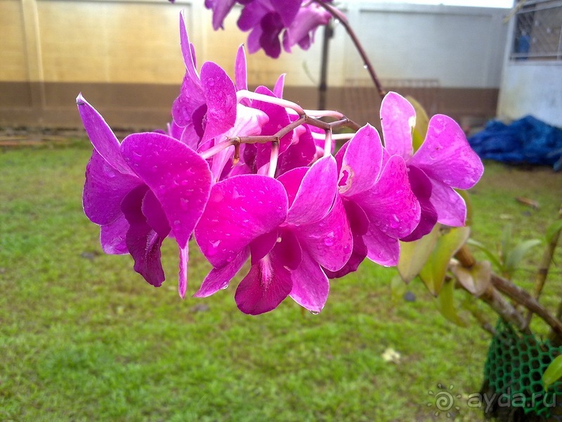 Таиланд, день пятый