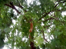 Таиланд, день пятый