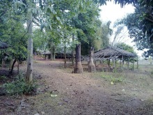 Таиланд, день пятый