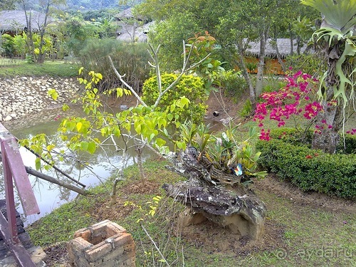 Таиланд, день пятый