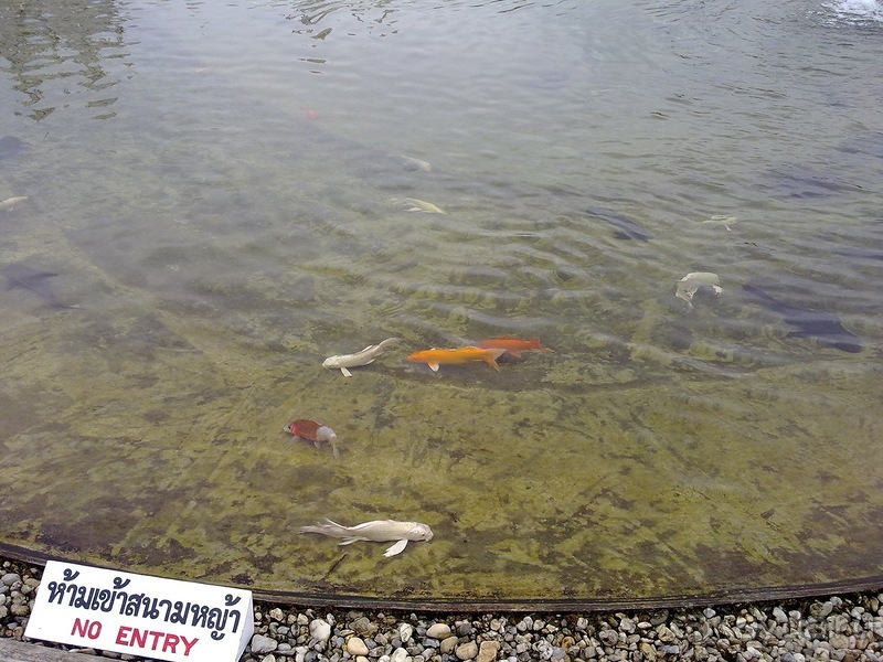 Таиланд, день пятый