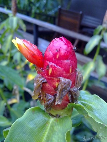 Таиланд, день пятый