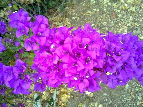 Таиланд, день пятый