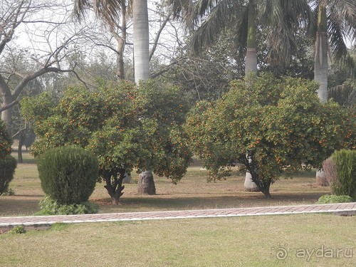 Индия. Итоги поездки