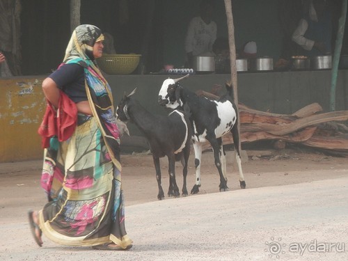 Индия. Итоги поездки